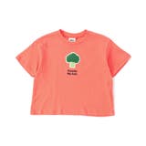 WEB限定 ワンポイントサガラワッペンTシャツ | F.O.Online Store | 詳細画像25