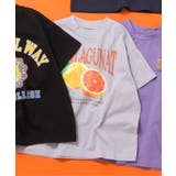 サックス | WEB限定 カラバリプリントTシャツ | F.O.Online Store
