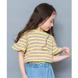 イエロー | WEB限定  袖フリルボーダーTシャツ | F.O.Online Store