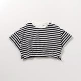 ボーダー柄 | WEB限定  裾絞りショート丈Tシャツ | F.O.Online Store