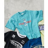 ターコイズブルー | WEB限定 ストリートTシャツ | F.O.Online Store