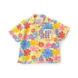 【リンク】シェフシャツ(セットアップ可) | F.O.Online Store | 詳細画像19 