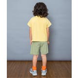 WEB限定  カレッジプリントセットアップ | F.O.Online Store | 詳細画像15 