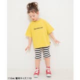 【WEB限定/26春新作】DAISUKIリブハーフパンツ | F.O.Online Store | 詳細画像12 