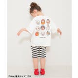 【WEB限定/26春新作】DAISUKIリブハーフパンツ | F.O.Online Store | 詳細画像13 