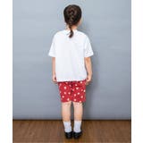 WEB限定 DAISUKI総柄ハーフパンツ 5分丈 | F.O.Online Store | 詳細画像31