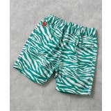 グリーン | NEWシェフハーフパンツ 5分丈 | F.O.Online Store