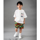 【B NEW JACK】サイドライン総柄パンツ 5分丈 | F.O.Online Store | 詳細画像6