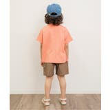 WEB限定 タックハーフパンツ 5分丈 | F.O.Online Store | 詳細画像5