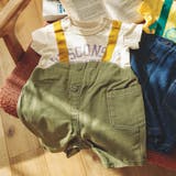 キナリ | Boy's カレッジロンパス | F.O.Online Store