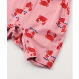 【リンク】シェフシャツオール | F.O.Online Store | 詳細画像16 