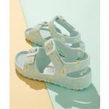 サックス | 【26年新作】EVAサンダル | F.O.Online Store
