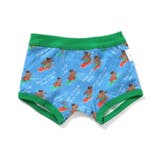 ブルー | メッシュ総柄パンツ | F.O.Online Store