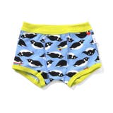 サックス | メッシュ総柄パンツ | F.O.Online Store