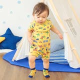 BOYS総柄ベビーソックス マイファーストブリーズ | F.O.Online Store | 詳細画像11