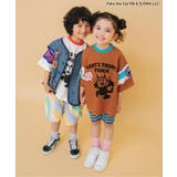 I’m Jelly ネーム付ストライプソックス | F.O.Online Store | 詳細画像12 