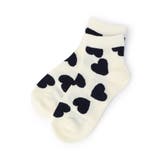 カラバリショートソックス | F.O.Online Store | 詳細画像10 