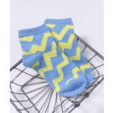 サックス | カラバリショートソックス | F.O.Online Store