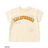 WEB限定 カレッジデザインコーディネートセット | F.O.Online Store | 詳細画像10