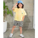 吸水速乾アクティブグラフィックTシャツ | F.O.Online Store | 詳細画像20 