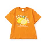 BREEZEMART フルーツグラフィック半袖Tシャツ | F.O.Online Store | 詳細画像12 