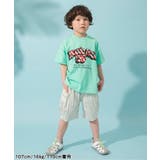 【ジュニア対応】POPグラフィック半袖Tシャツ | F.O.Online Store | 詳細画像24