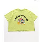 【リンク】ディズニーキャラクター／Tシャツ | F.O.Online Store | 詳細画像16 