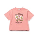 ピンク | リゾートグラフィックTシャツ | F.O.Online Store