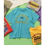 ターコイズブルー | バラエティーグラフィックTシャツ | F.O.Online Store