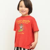 レッド | もっとスズシー サーフモチーフTシャツ | F.O.Online Store
