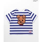 WEB限定 OSAMU GOODSコラボ ボーダー&ドットTシャツ | F.O.Online Store | 詳細画像5