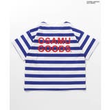 WEB限定 OSAMU GOODSコラボ ボーダー&ドットTシャツ | F.O.Online Store | 詳細画像6