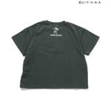 【リンク】クレヨンしんちゃん 4柄グラフィックTシャツ | F.O.Online Store | 詳細画像3