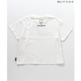 【リンク】クレヨンしんちゃん 4柄グラフィックTシャツ | F.O.Online Store | 詳細画像7