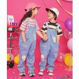 【リンク】サーティワン フレーバーボーダーTシャツ | F.O.Online Store | 詳細画像24 