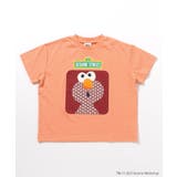 SESAME STREET 和柄Tシャツ | F.O.Online Store | 詳細画像4