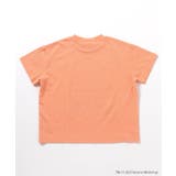 SESAME STREET 和柄Tシャツ | F.O.Online Store | 詳細画像5