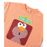 SESAME STREET 和柄Tシャツ | F.O.Online Store | 詳細画像6