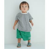 WEB限定  2PセットボーダーTシャツ | F.O.Online Store | 詳細画像13 