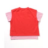 WEB限定  2PセットボーダーTシャツ | F.O.Online Store | 詳細画像15 
