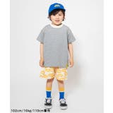 WEB限定  2PセットボーダーTシャツ | F.O.Online Store | 詳細画像8 