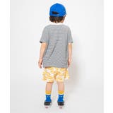 WEB限定  2PセットボーダーTシャツ | F.O.Online Store | 詳細画像9 