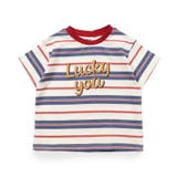 マルチボーダーバリエTシャツ | F.O.Online Store | 詳細画像1