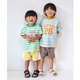 マルチボーダーバリエTシャツ | F.O.Online Store | 詳細画像12