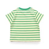 マルチボーダーバリエTシャツ | F.O.Online Store | 詳細画像2