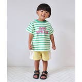 マルチボーダーバリエTシャツ | F.O.Online Store | 詳細画像3