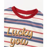 マルチボーダーバリエTシャツ | F.O.Online Store | 詳細画像5