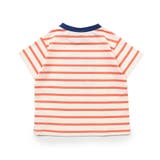 マルチボーダーバリエTシャツ | F.O.Online Store | 詳細画像9