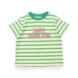 グリーン | マルチボーダーバリエTシャツ | F.O.Online Store