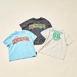 恐竜ぷっくりロゴTシャツ | F.O.Online Store | 詳細画像15